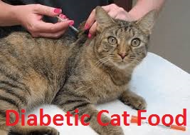 Diabetic Cat Food